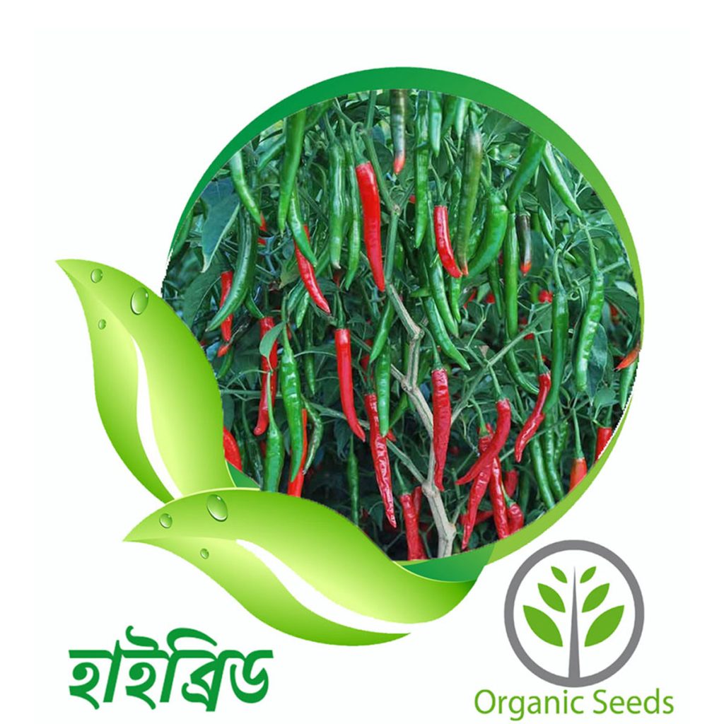 বিদেশি হাইব্রিড বীজের ফাঁদে দেশের কৃষি। হারিয়ে যাচ্ছে দেশীয় ফসলের জাত, ক্ষতিগ্রস্ত হচ্ছে জীববৈচিত্র্য। ফুলে-ফেঁপে উঠছে বীজ কোম্পানিগুলো।