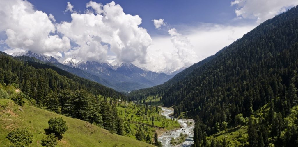 পেহেলগাম সন্ত্রাসী হামলার তদন্ত চায় চীন