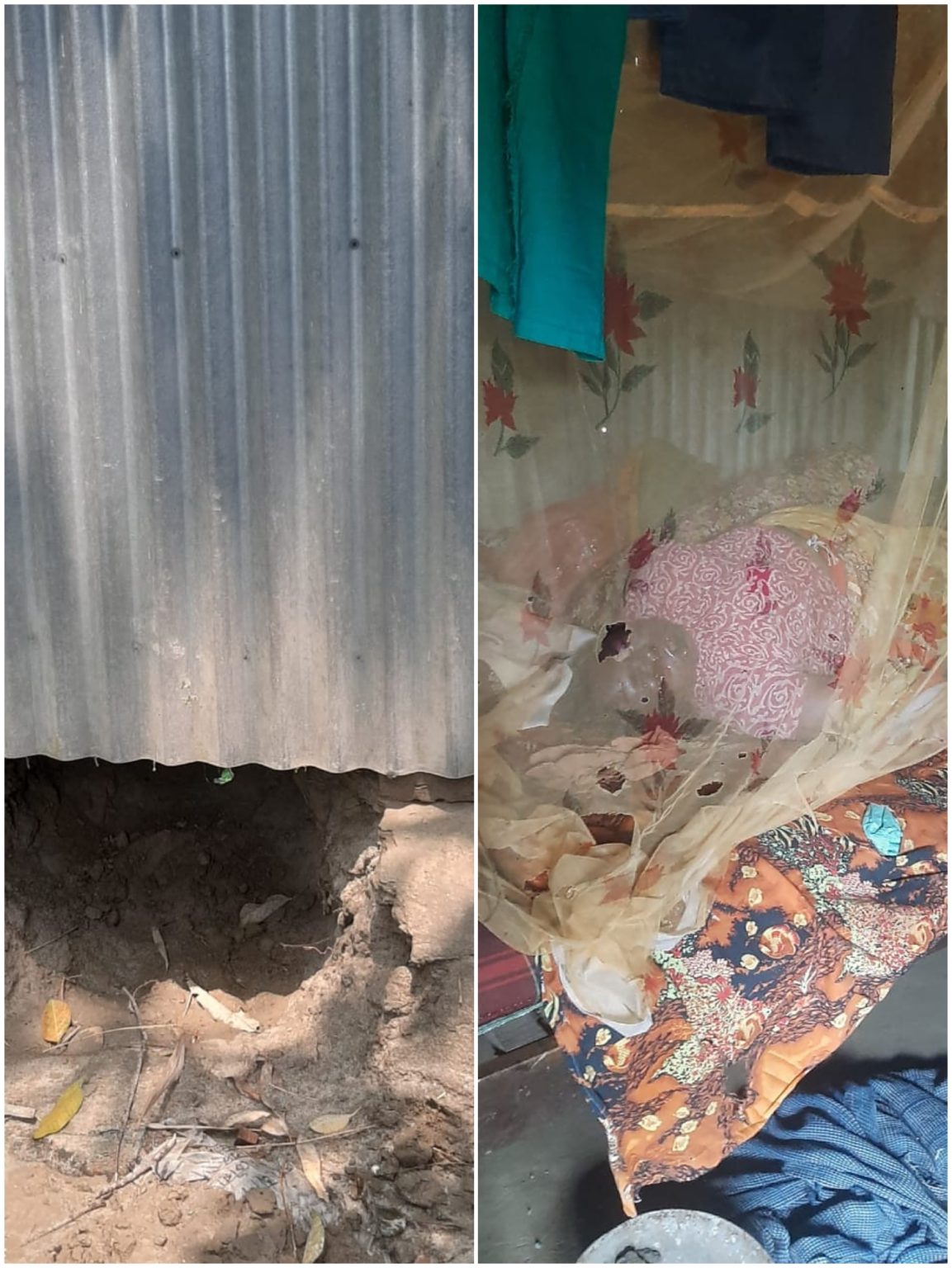 কালিহাতীতে একা বসবাসকারী নারীর রক্তাক্ত লাশ উদ্ধার নিহতের শরীরে আঘাতের চিহ্ন, পালিত ছেলে বলছেন ‘হত্যা’