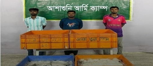 আশাশুনিতে সেনা অভিযানে পুশকৃত বাগদা চিংড়ি আটক, পুড়িয়ে বিনষ্ট