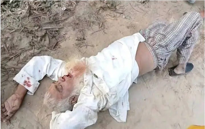 অটো রিক্সার সংঘর্ষে বৃদ্ধার মৃত্যু