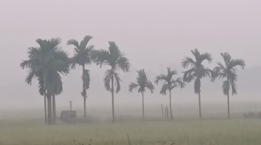 পঞ্চগড়ে তাপমাত্রা নেমেছে ১২ ডিগ্রির ঘরে