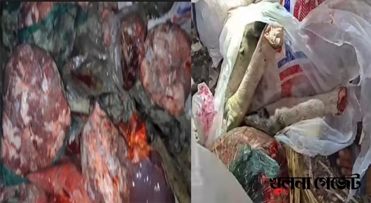 শরণখোলায় জলাতঙ্কে আক্রান্ত গরু জবাই করে বাজারে বিক্রি