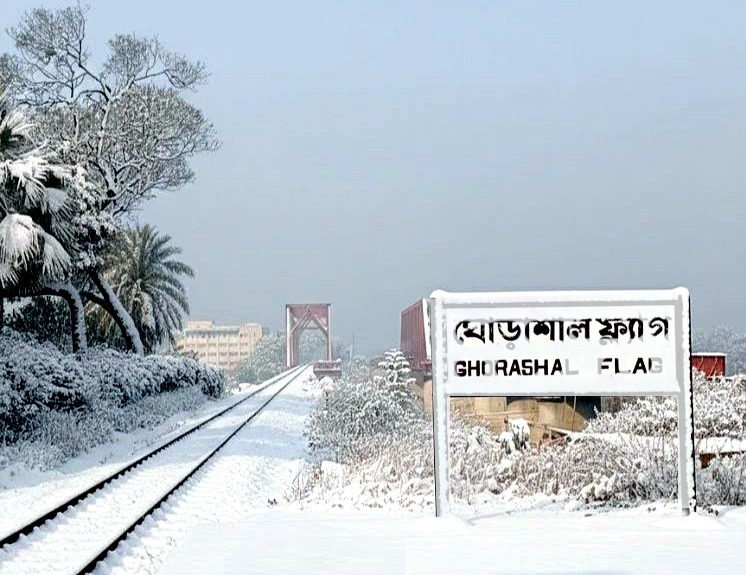 তুষারপাতের চাদরে ঢাকা নরসিংদীর ঘোড়াশাল, নজিরবিহীন শীতে দুর্ভোগে সাধারণ মানুষ