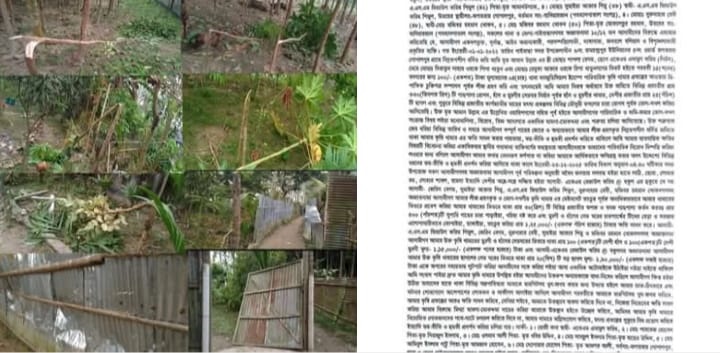 পরিকল্পিত তাণ্ডবে গ্রামীণ উদ্যোক্তা নিঃস্ব