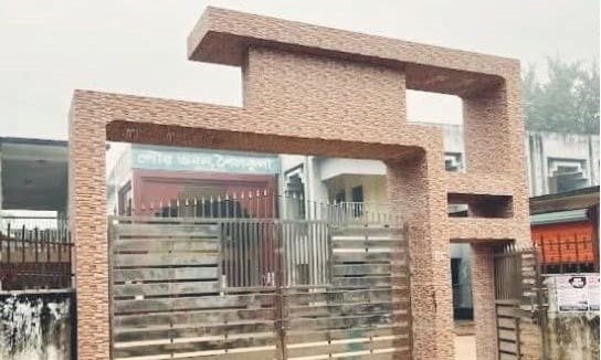 পৌরবাসীর দুঃখ-দুর্দশা আর নিত্যদিনের ভোগান্তি