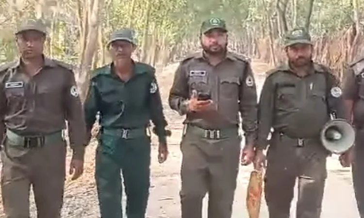 সুন্দরবনে বিড়ি সিগারেটসহ দাহ্য পদার্থ নিয়ে প্রবেশে নিষেধাজ্ঞা