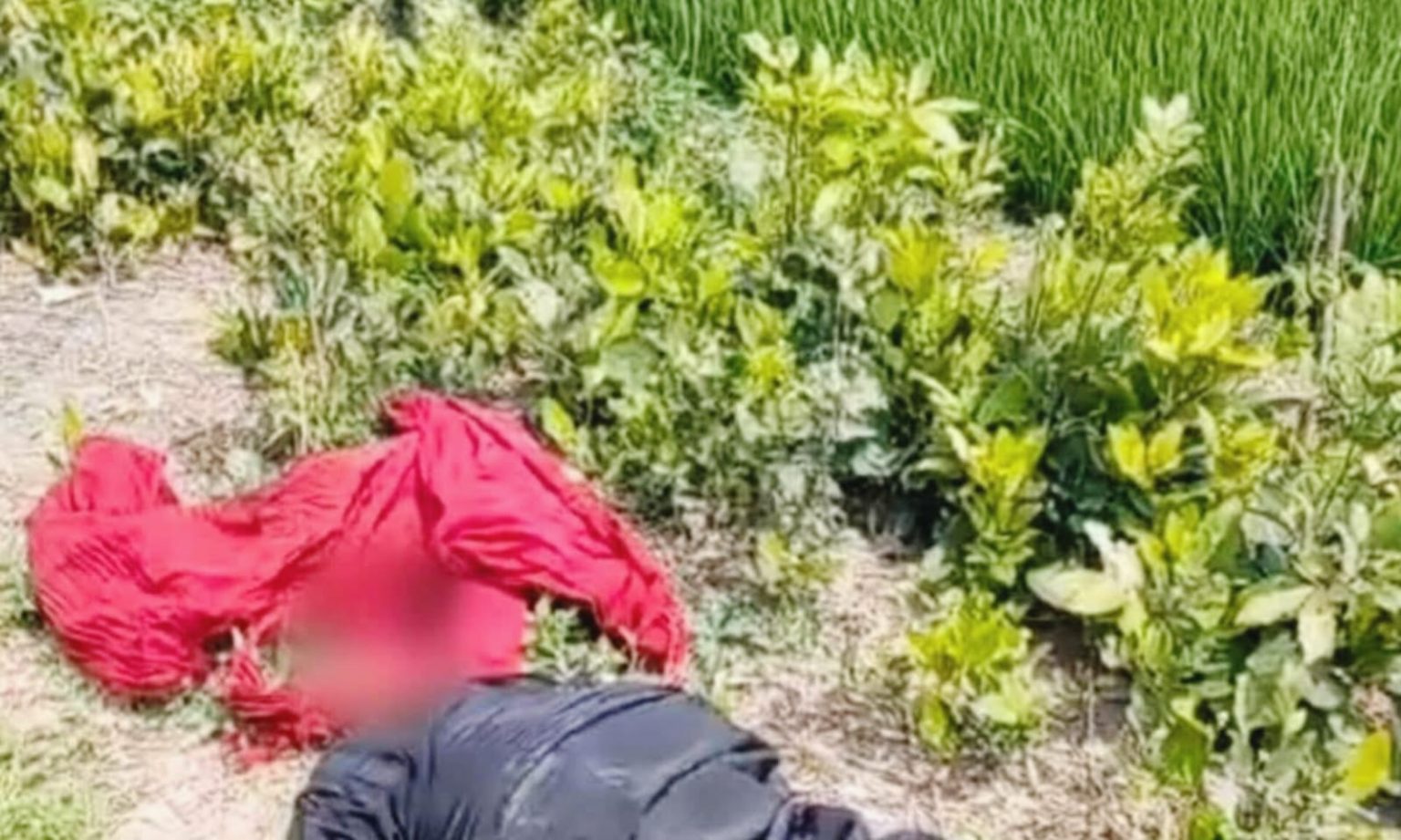 ঝিনাইদহ ট্রেনে কাটা পড়ে অজ্ঞাত এক নারীর মৃত্যু