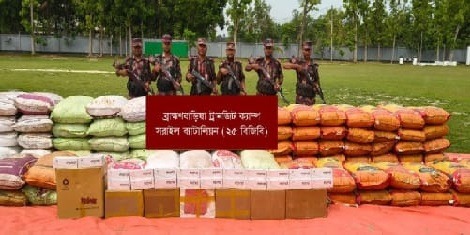 ৪২ লাখ টাকার ভারতীয় পণ্য জব্দ করল বিজিবি