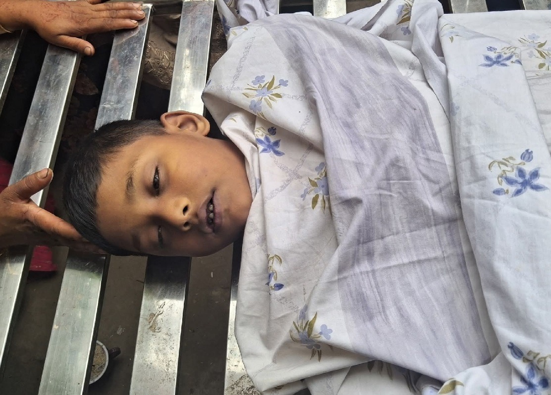 নবীনগরে সাপের কামড়ে শিশুর মৃত্যু