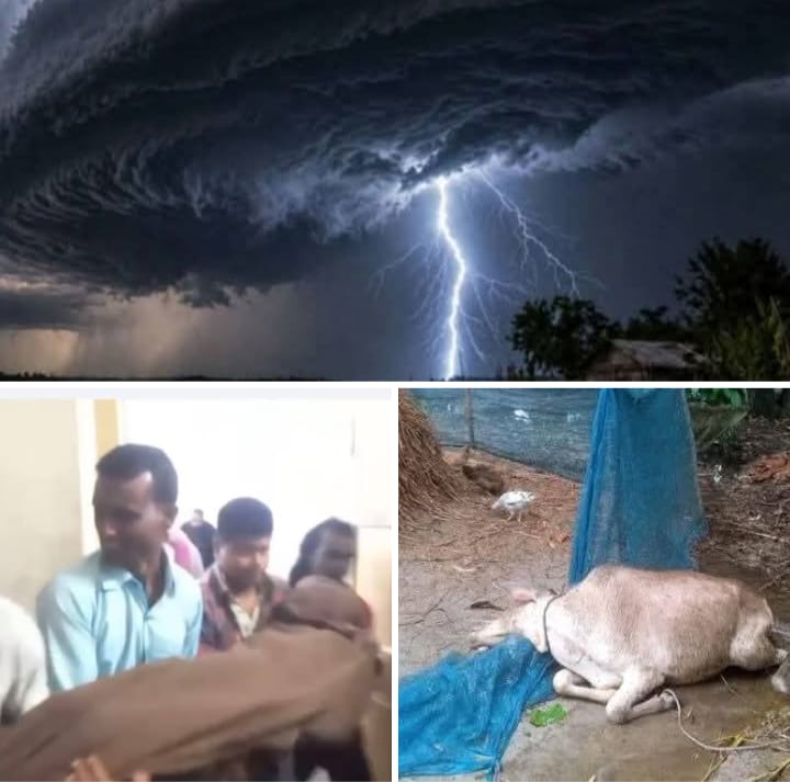 গাইবান্ধায় বজ্রপাতে শিশুসহ তিনজনের মৃত্যু