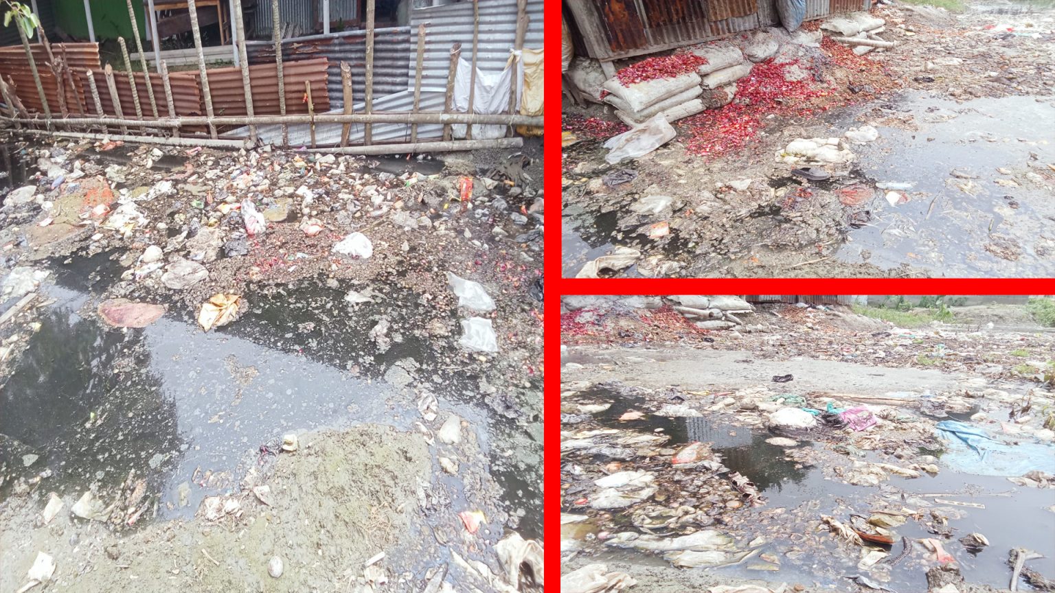 হাজিরহাটে শিক্ষা প্রতিষ্ঠানের সামনে ময়লার স্তূপ: দুর্গন্ধে অতিষ্ঠ শিক্ষক-শিক্ষার্থীরা