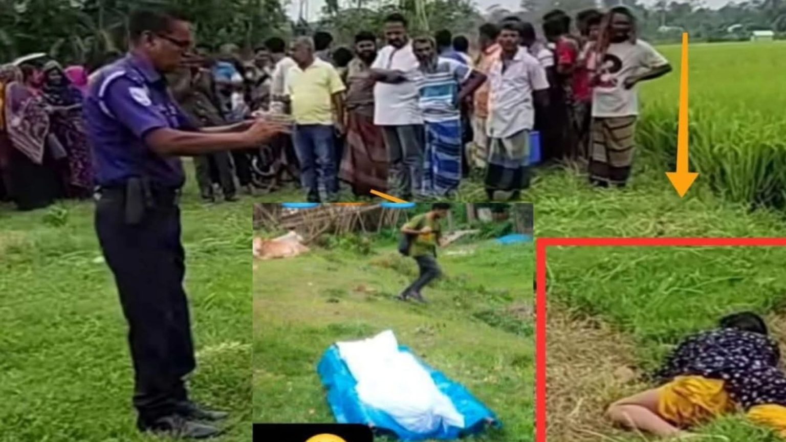 টাঙ্গাইলের দেলদুয়ারে ধানক্ষেত থেকে রক্তাক্ত নারী উদ্ধার: গুজবে কান না দিতে প্রশাসনের আহ্বান