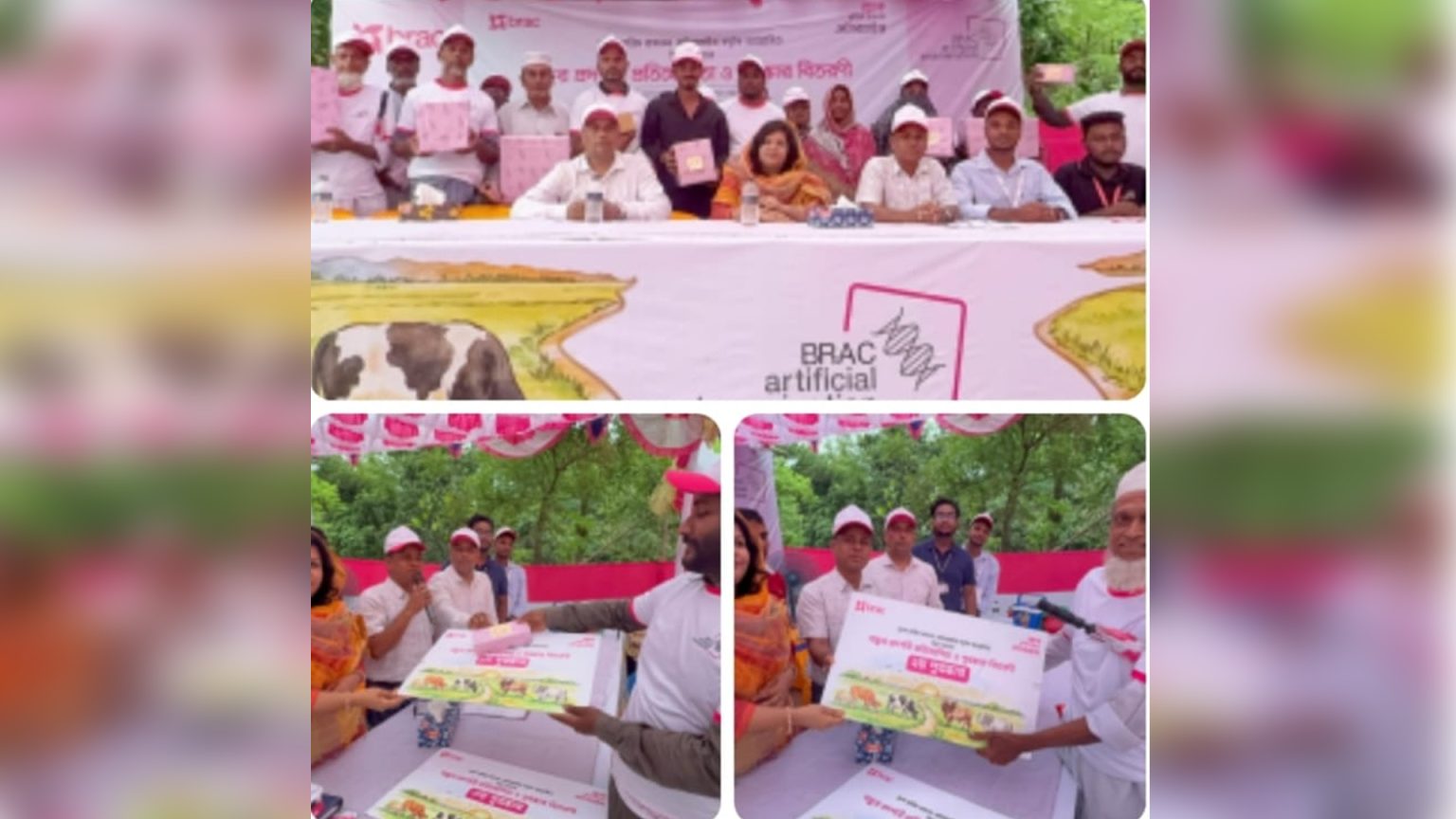 উন্নত জাতের বাছুর প্রদর্শনী ও পুরস্কার বিতরণী অনুষ্ঠিত: ভালো জাতে ভবিষ্যৎ গড়ার প্রত্যয়