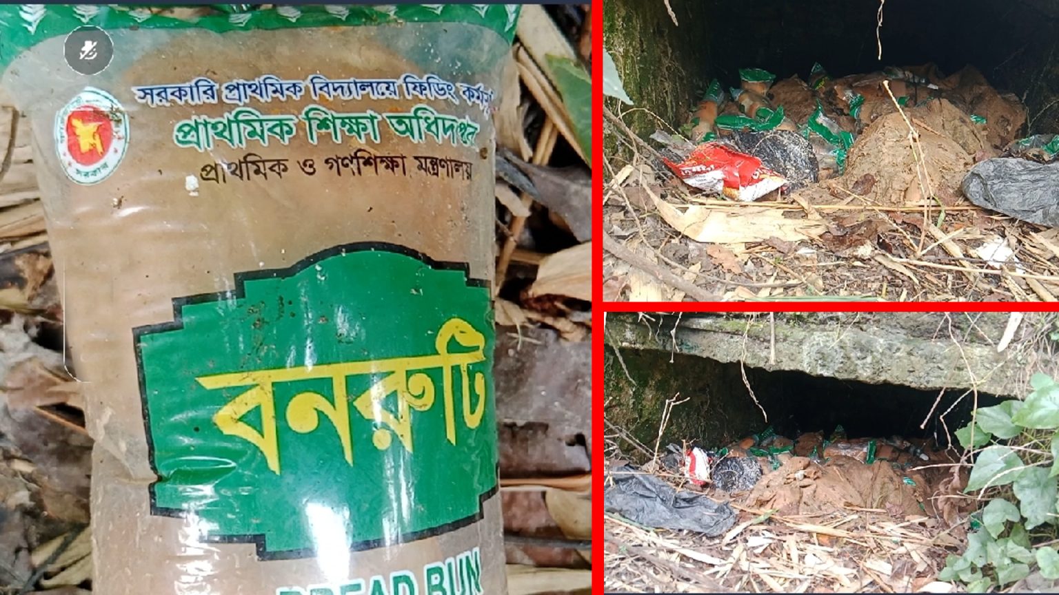 সরকারি প্রাথমিক বিদ্যালয়ের পুষ্টিকর বনরুটি ডাস্টবিনে! নবীনগরে এলাকাবাসীর তীব্র ক্ষোভ, প্রধান শিক্ষকের ‘অজ্ঞতা’
