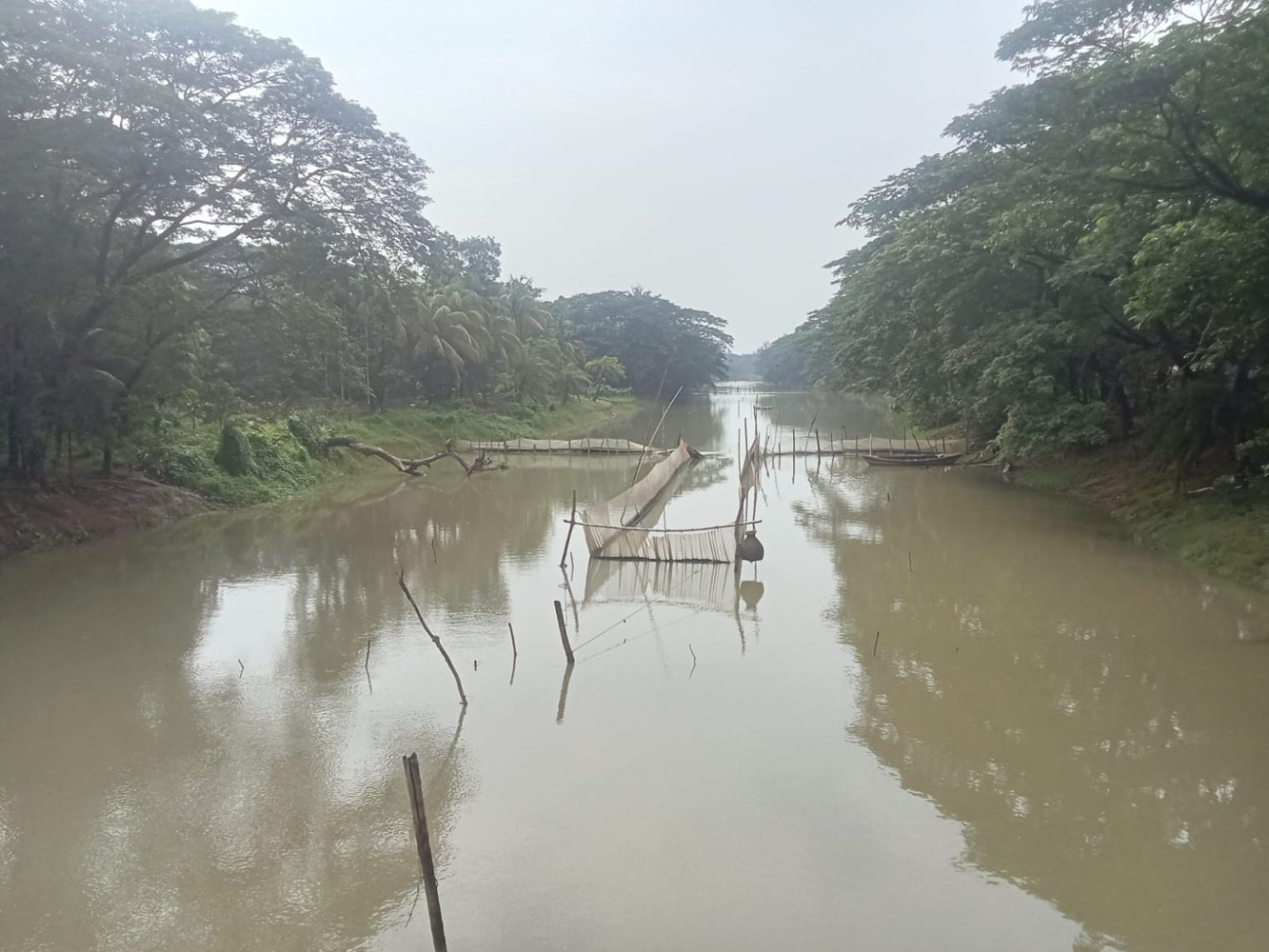 ভুলুয়া নদী এখন ‘জাল-খুঁটি’ আর দখলের কবলে: রামগতি-কমলনগরে তীব্র জলাবদ্ধতার শঙ্কা