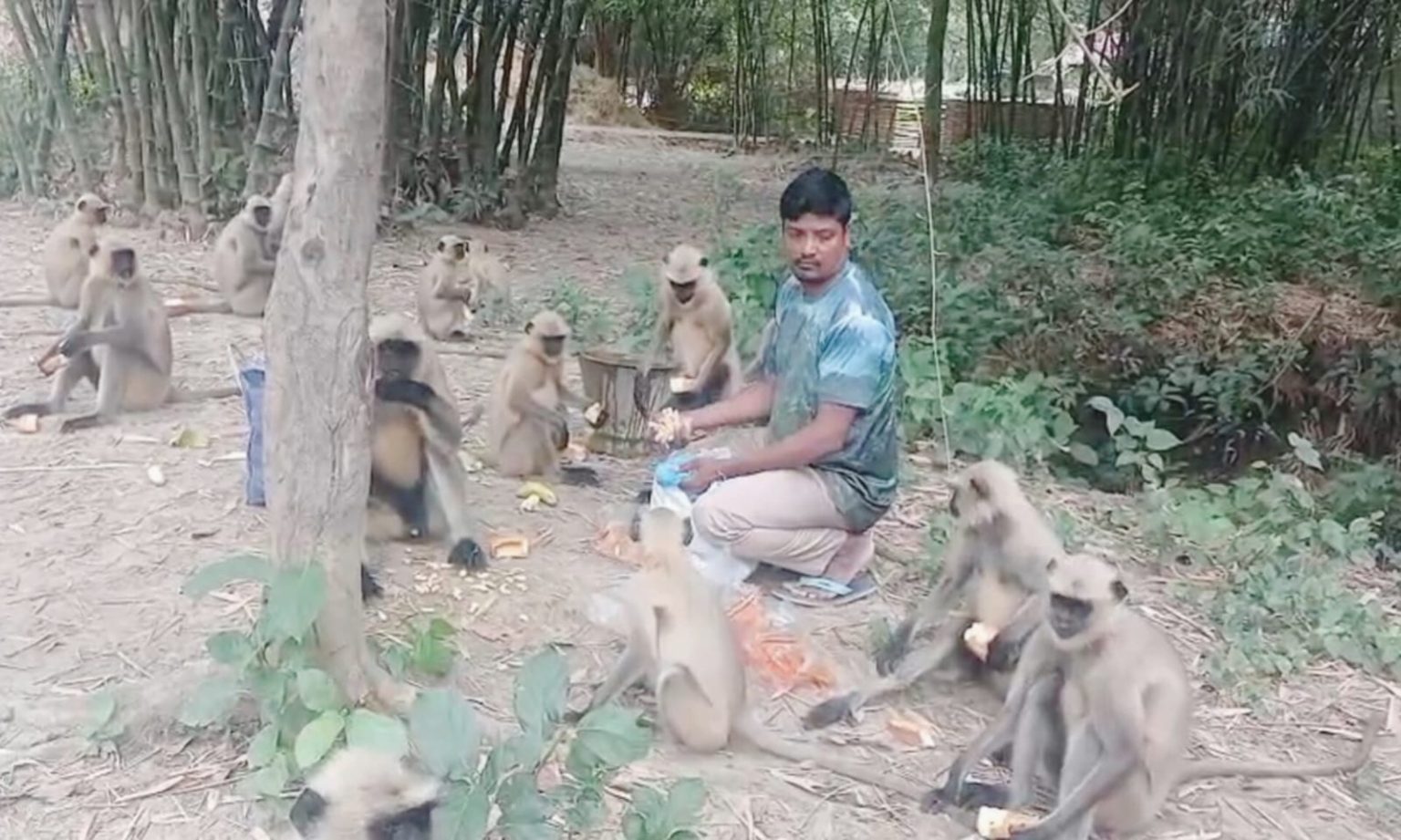 বোবা প্রাণীর সাথে শখ্য,বোবা প্রাণীর দায়িত্ব নিজ কাঁধে তুলে নিয়েছেন প্রকৃতি প্রেমী নাজমুল