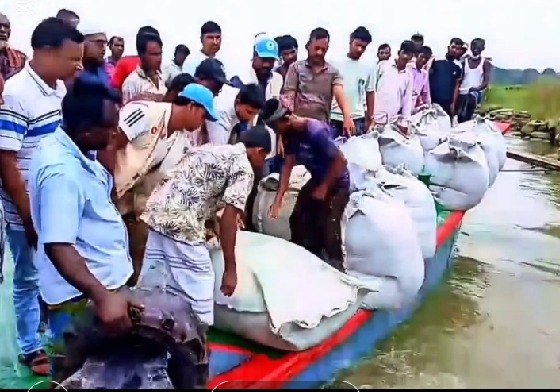 মেঘনা নদীর ভাঙন রোধে জিও ব্যাগ স্থাপন, ভাঙন আতঙ্কে এলাকাবাসী