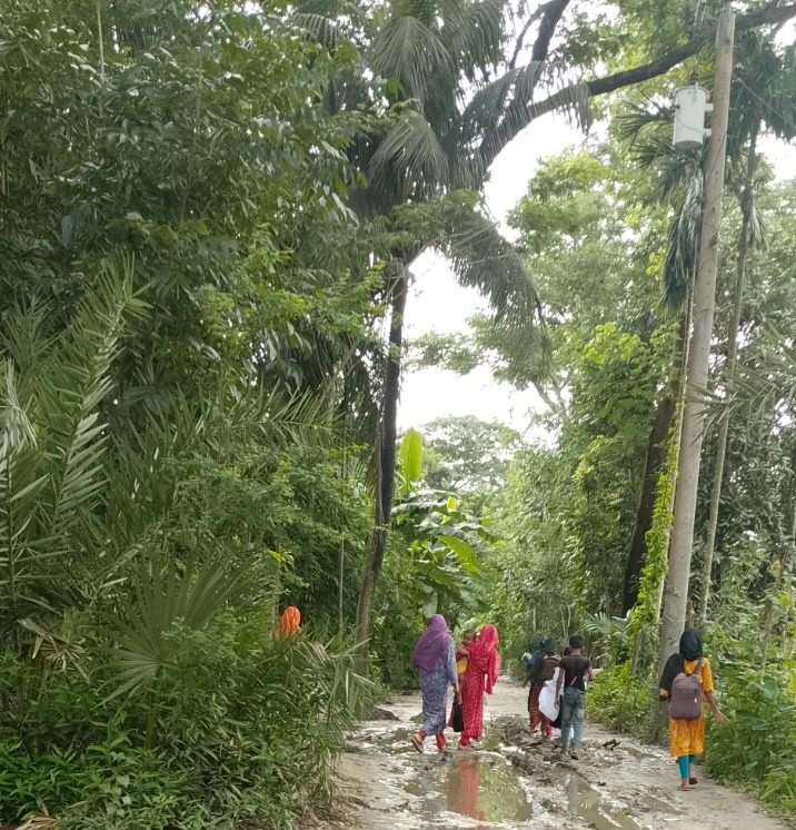 মিন্টু দুবাই বাড়ির রাস্তার মাথা থেকে আলমঘাট পর্যন্ত সড়ক উন্নয়নে এমপি নয়নের হস্তক্ষেপ কামনা