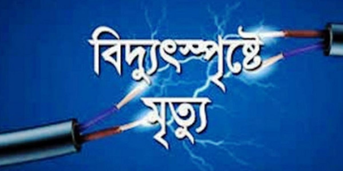 বকশীগঞ্জে বিদ্যুৎস্পৃষ্টে কৃষকের মৃত্যু