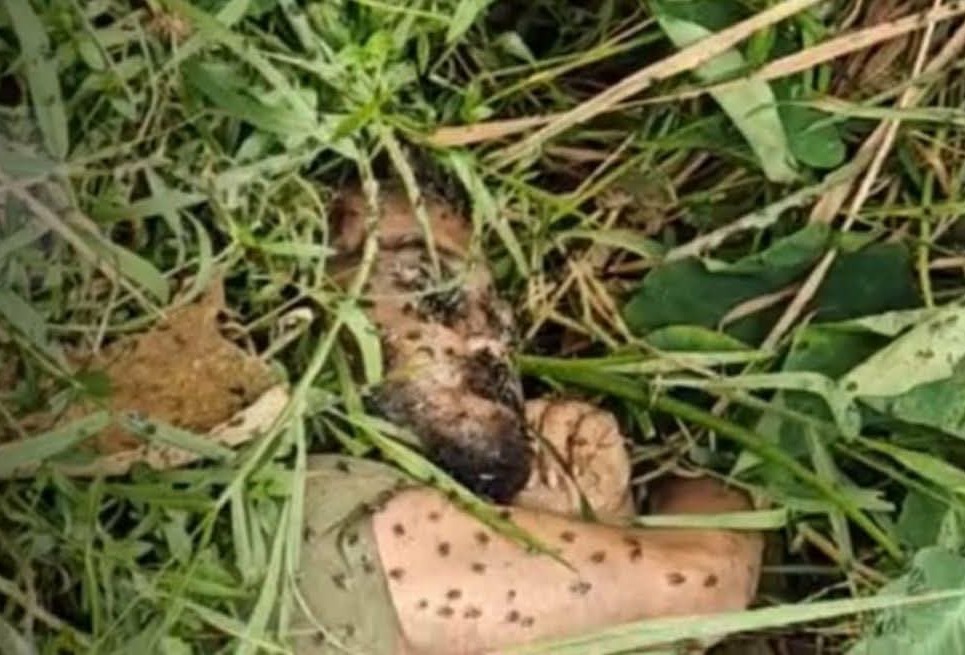নরসিংদীর করিমপুরে উদ্ধার হওয়া লাশ কি নবীনগরের নিখোঁজ রিফাতের? এলাকায় চরম উৎকণ্ঠা
