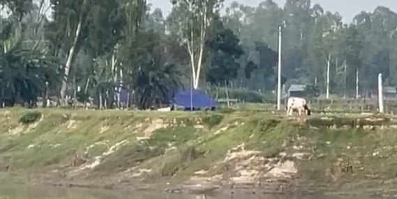 করতোয়া নদীর চরাঞ্চলে লাখ টাকার জুয়ার আসর, সমন্বিত অভিযানের দাবি স্থানীয়দের 