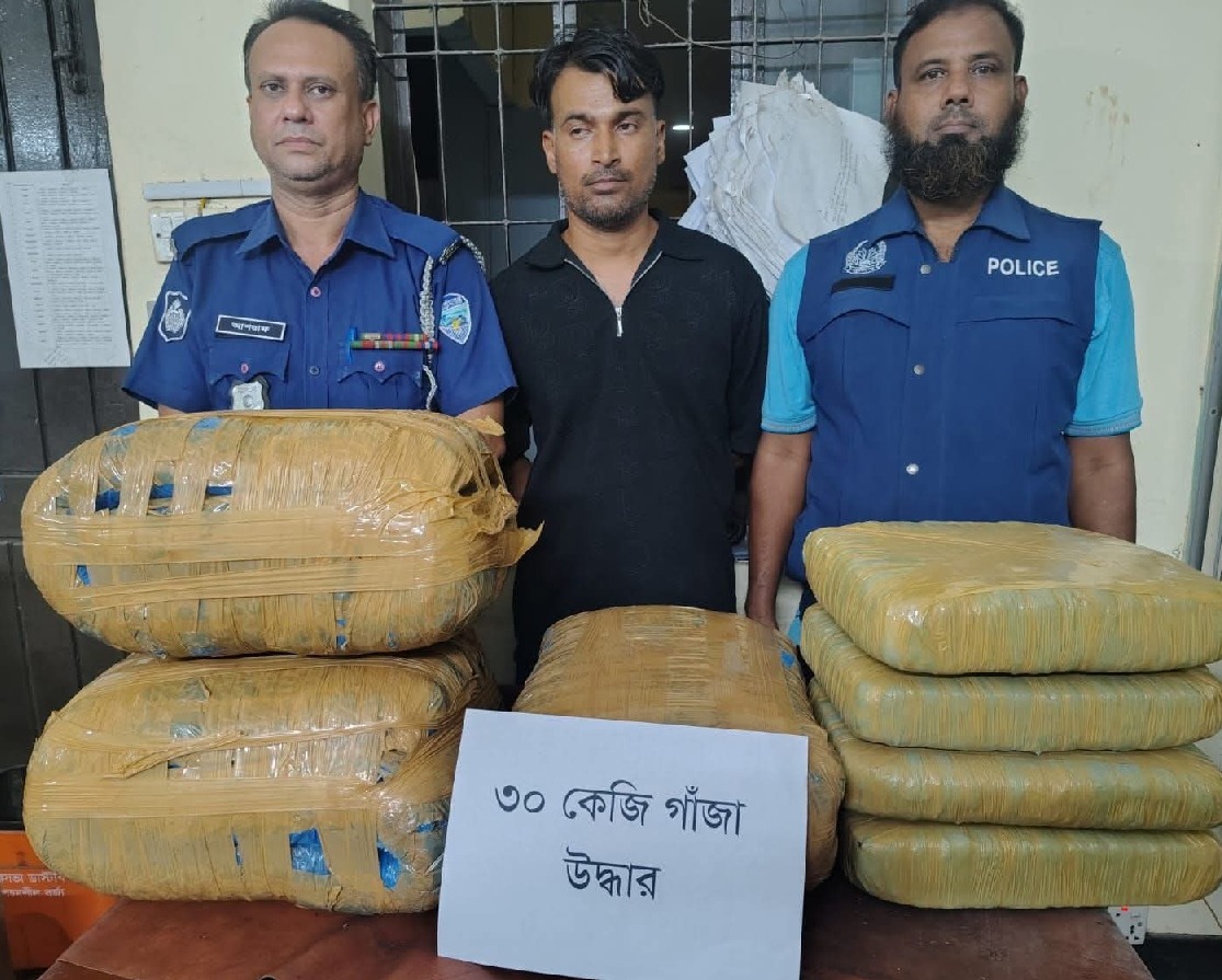 নবীনগরে ৩০ কেজি গাঁজাসহ আটক ১