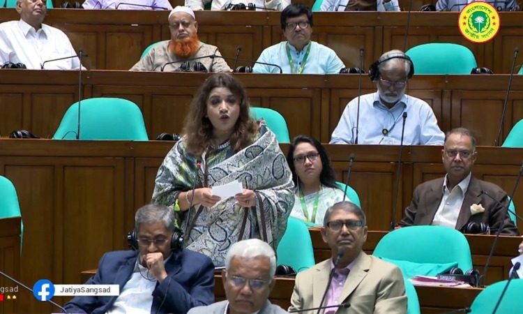 নির্যাতনের শিকার নেতাকর্মীদের পুনর্বাসনে বাজেটে বরাদ্দ রাখার আহ্বান পররাষ্ট্র প্রতিমন্ত্রীর