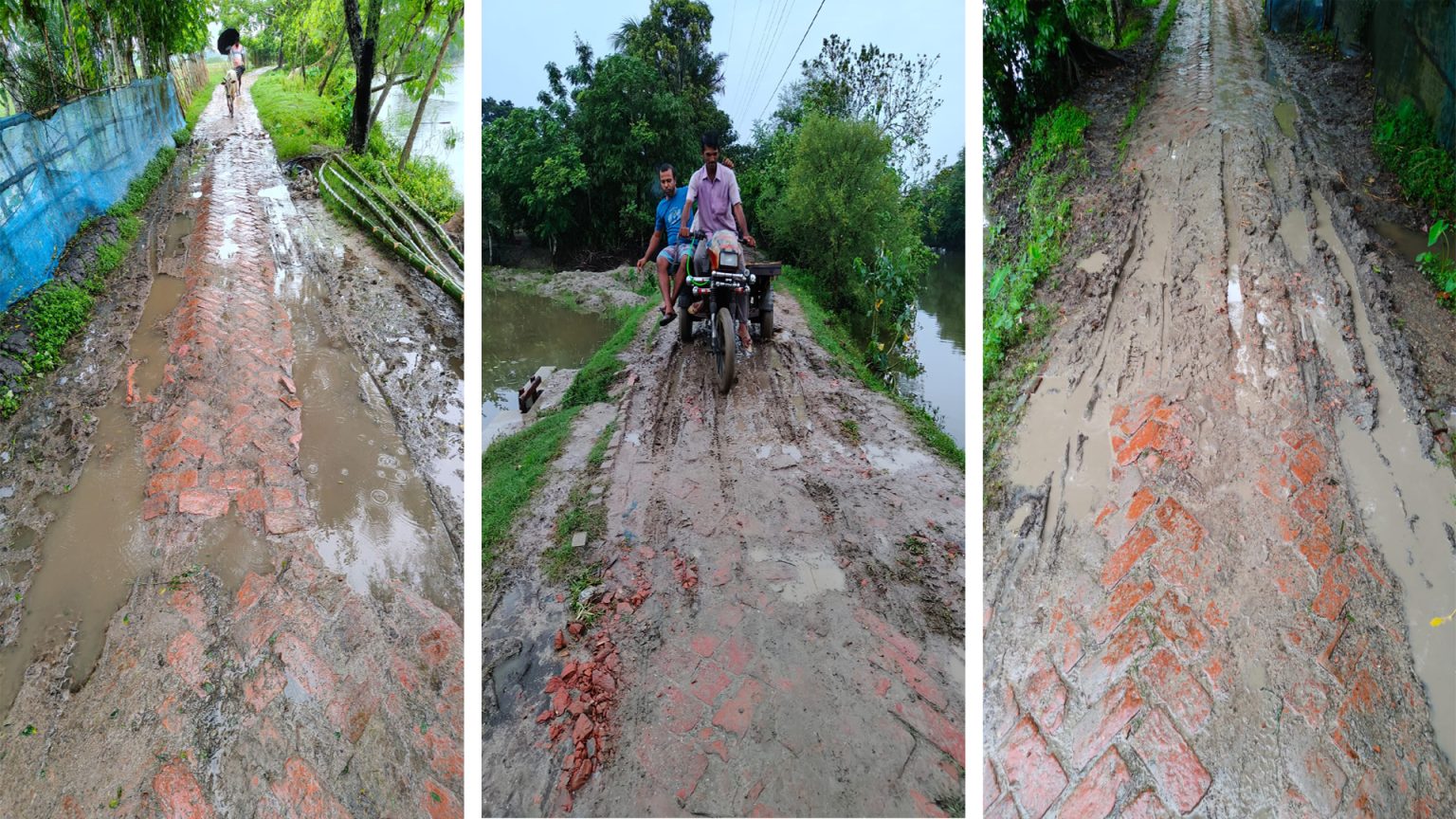 খুলনার পাইকগাছা গড়ইখালীর ৭ নং ওয়ার্ডের ইটের সলিং উঠে জনদুর্ভোগ চরমে, সংস্কারের দাবি