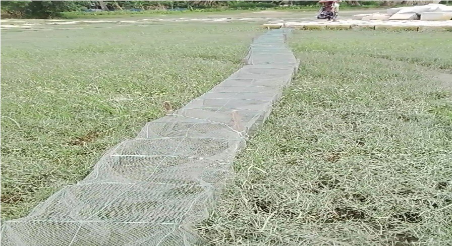 কমলনগরে চায়না দুয়ারী জালে মৎস্য সম্পদ ধ্বংস: মৎস্য কর্মকর্তার নীরবতায় ক্ষোভ, অভিযানের আশ্বাস ইউএনও’র