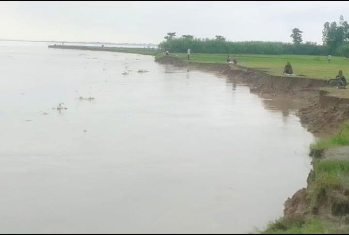 বগুড়ায় বাড়ছে যমুনার পানি, তীব্র নদীভাঙনে বিলীন হচ্ছে ফসলি জমি
