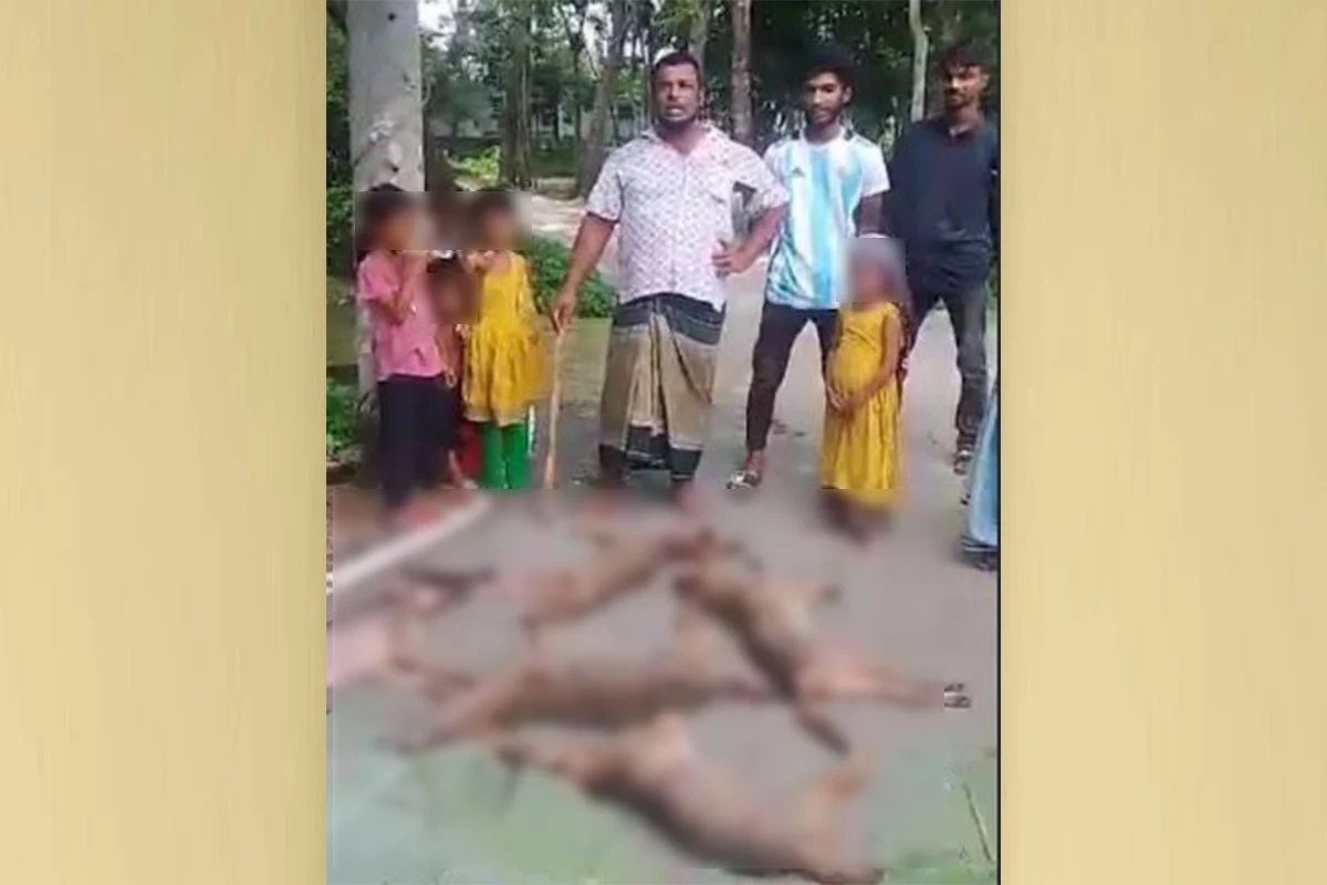 সাত শিয়ালকে পিটিয়ে হত্যা, মাংস নেওয়ার আহ্বান ফেসবুকে
