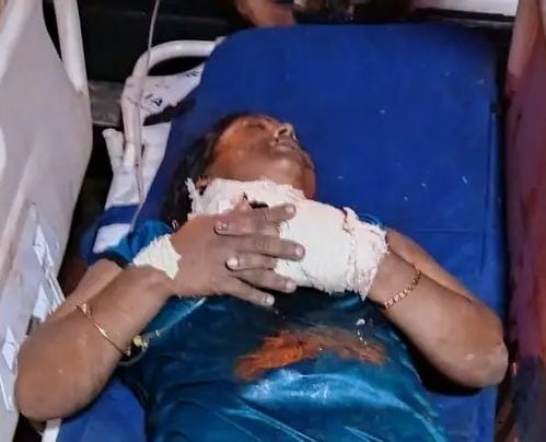 বদলগাছীতে নারীকে ছুরিকাঘাত, গুরুতর অবস্থায় নওগাঁ সদর হাসপাতালে চিকিৎসাধীন