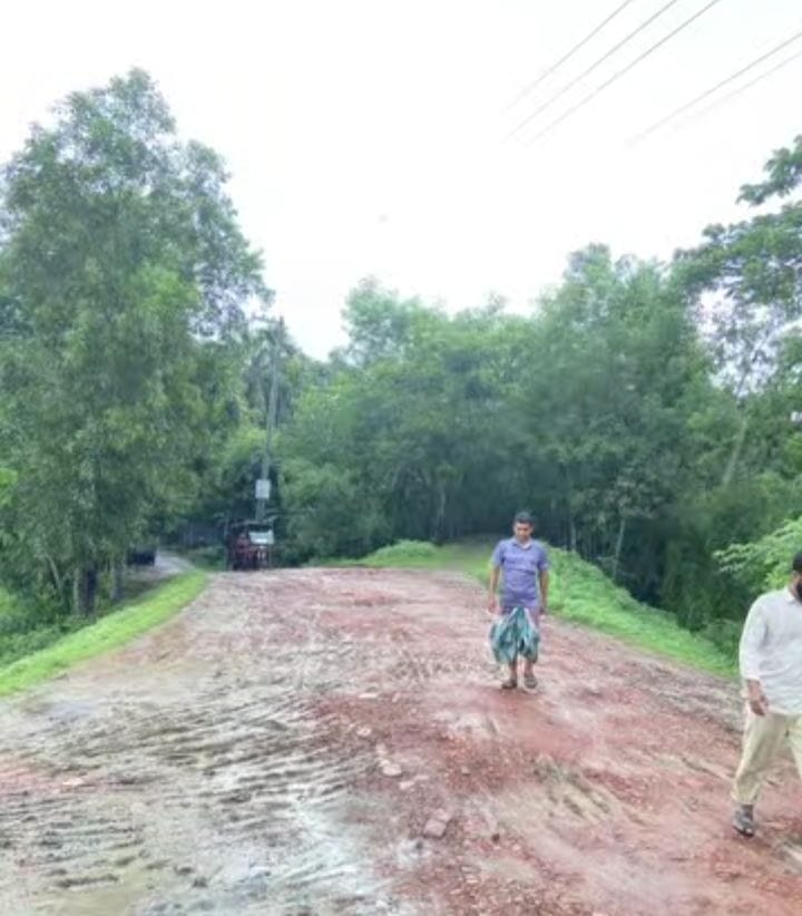 পিরোজপুরের ধাওয়া ইউনিয়নের বিভিন্ন রাস্তার বেহাল দসা