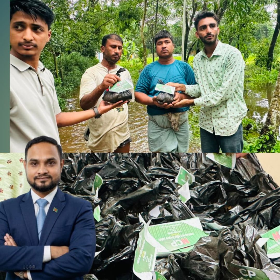 পটিয়ার পানিবন্দি মানুষের পাশে এনসিপি’র সাজ্জাদ, বন্যার্তদের মাঝে খাদ্যসামগ্রী বিতরণ