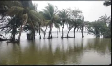 কোটি টাকার ক্ষতি: পাইকগাছায় টানা বৃষ্টিতে ডুবেছে মৎস্য ঘের ও পুকুর