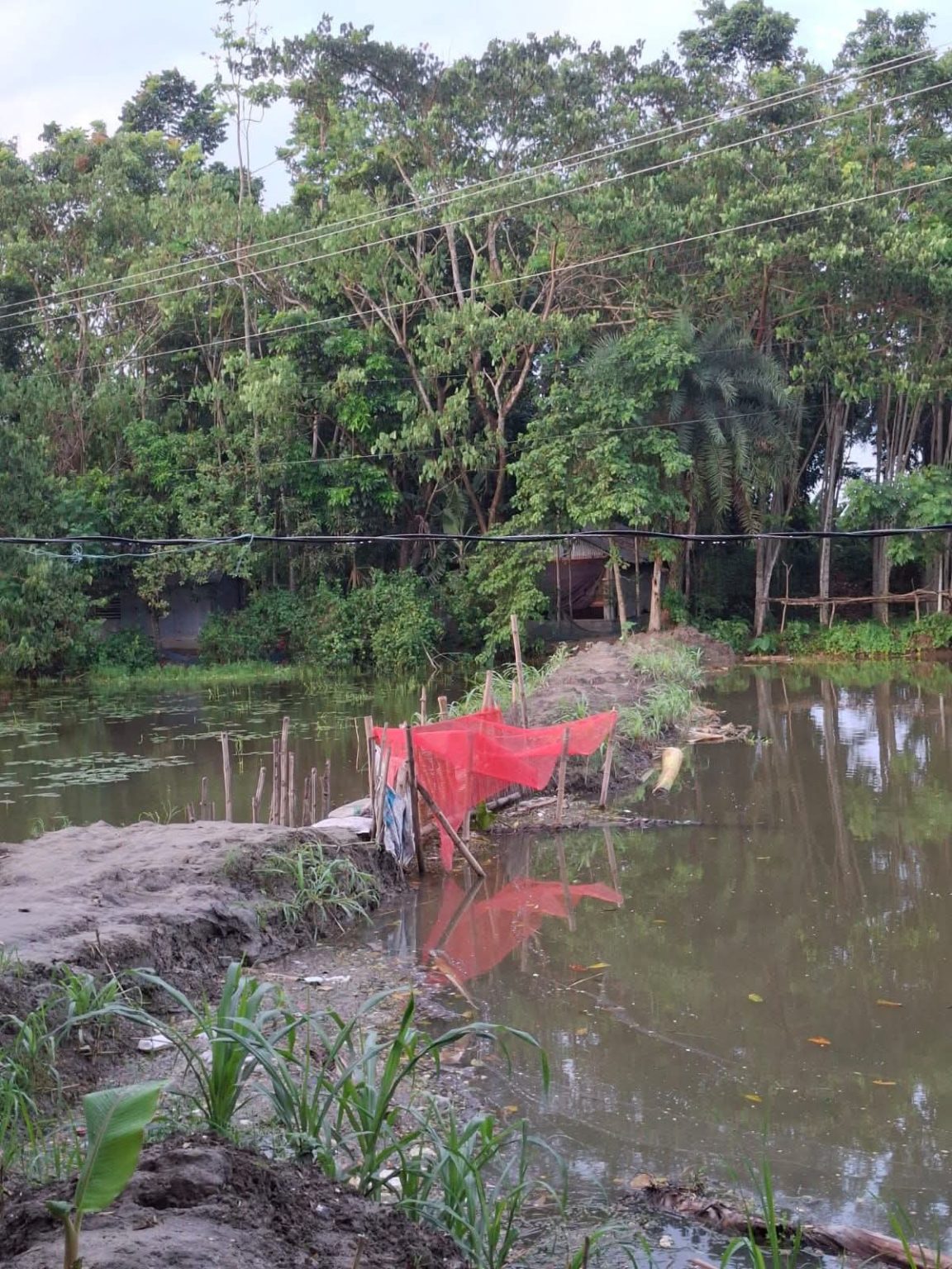 যশোর,শার্শা উপজেলা, বেনাপোল, হাকর, নামক খালটি, প্রভাবশালীদের দখলে