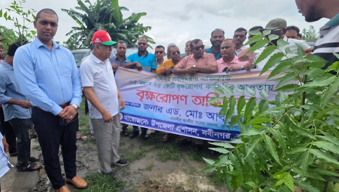 নবীনগরে ৫ বছরে ২৫ কোটি গাছ রোপণ কর্মসূচির উদ্বোধন করলেন এমপি অ্যাডভোকেট আব্দুল মান্নান