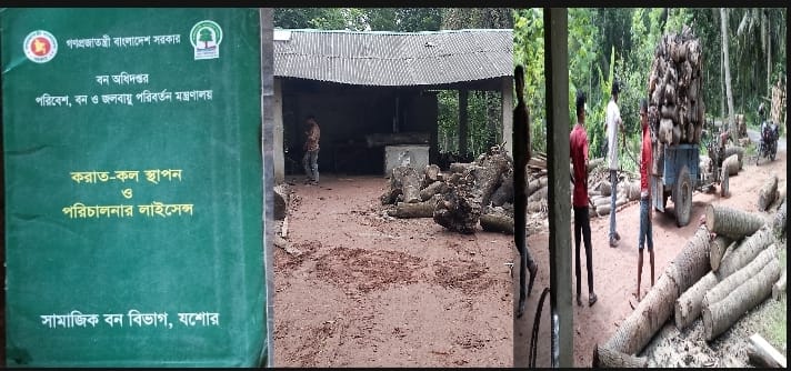 যশোরের মনিরামপুরে লাইসেন্সহীন ও মেয়াদোত্তীর্ণ করাত কলের রমরমা ব্যবসা :সরকারের কোটি টাকার রাজস্ব ক্ষতি, নীরব বন বিভাগ কর্মকর্তারা