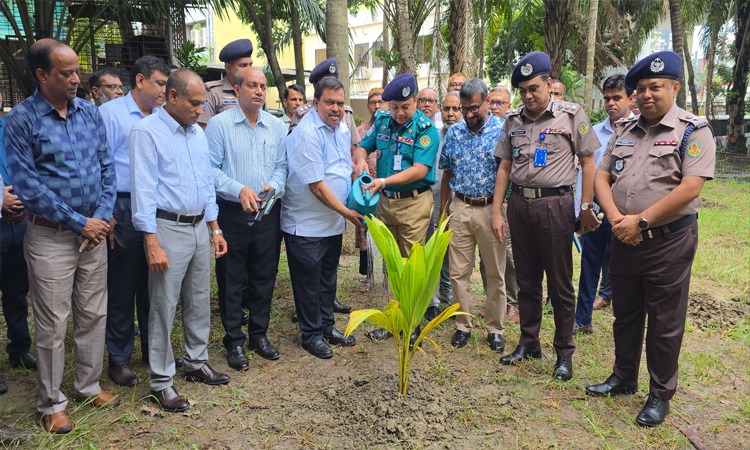 খুলনায় ১ লাখ ২০ হাজার বৃক্ষরোপণ করা হবে : কেডিএ চেয়ারম্যান