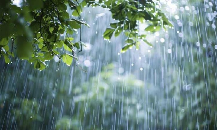 দেশের অধিকাংশ এলাকায় বৃষ্টি, কিছু স্থানে ভারী বর্ষণের শঙ্কা