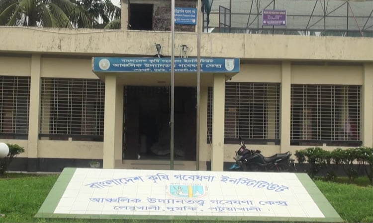 বারি’র গবেষণায় বদলাচ্ছে উপকূলের কৃষির মানচিত্র, তৈরি হচ্ছে নতুন সম্ভাবনা