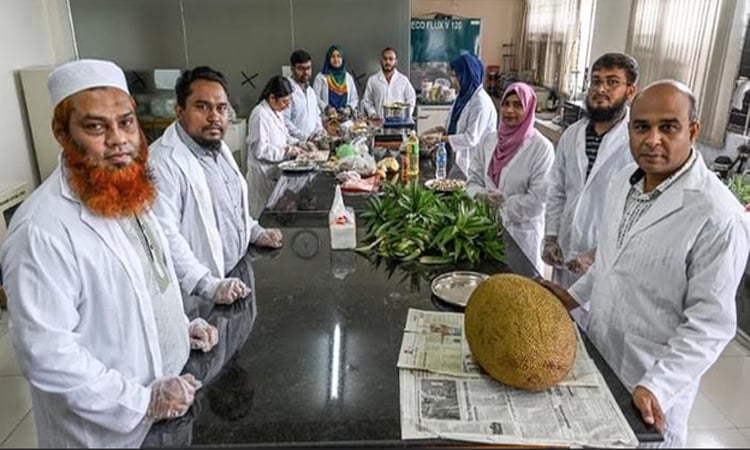 কাঁঠালের বীজ থেকে খনিজসমৃদ্ধ পুষ্টি উপাদান তৈরির প্রযুক্তি উদ্ভাবন গাকৃবির