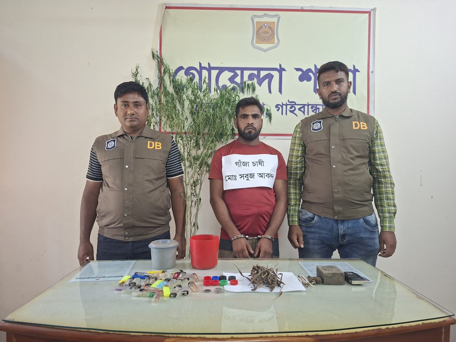 গাইবান্ধায় ডিবির সাঁড়াশি অভিযান: গাঁজার গাছ ও সরঞ্জামসহ মূল হোতা সাদেকুল ও সবুজ গ্রেফতার, ইয়াবা সেবনে আটক ১