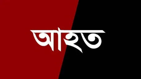 বালিয়াডাঙ্গীর সেতাবগঞ্জ ফেরত বরযাত্রীবাহী মাইক্রোবাস দুর্ঘটনায় ১৩ জন গুরুতর আহত